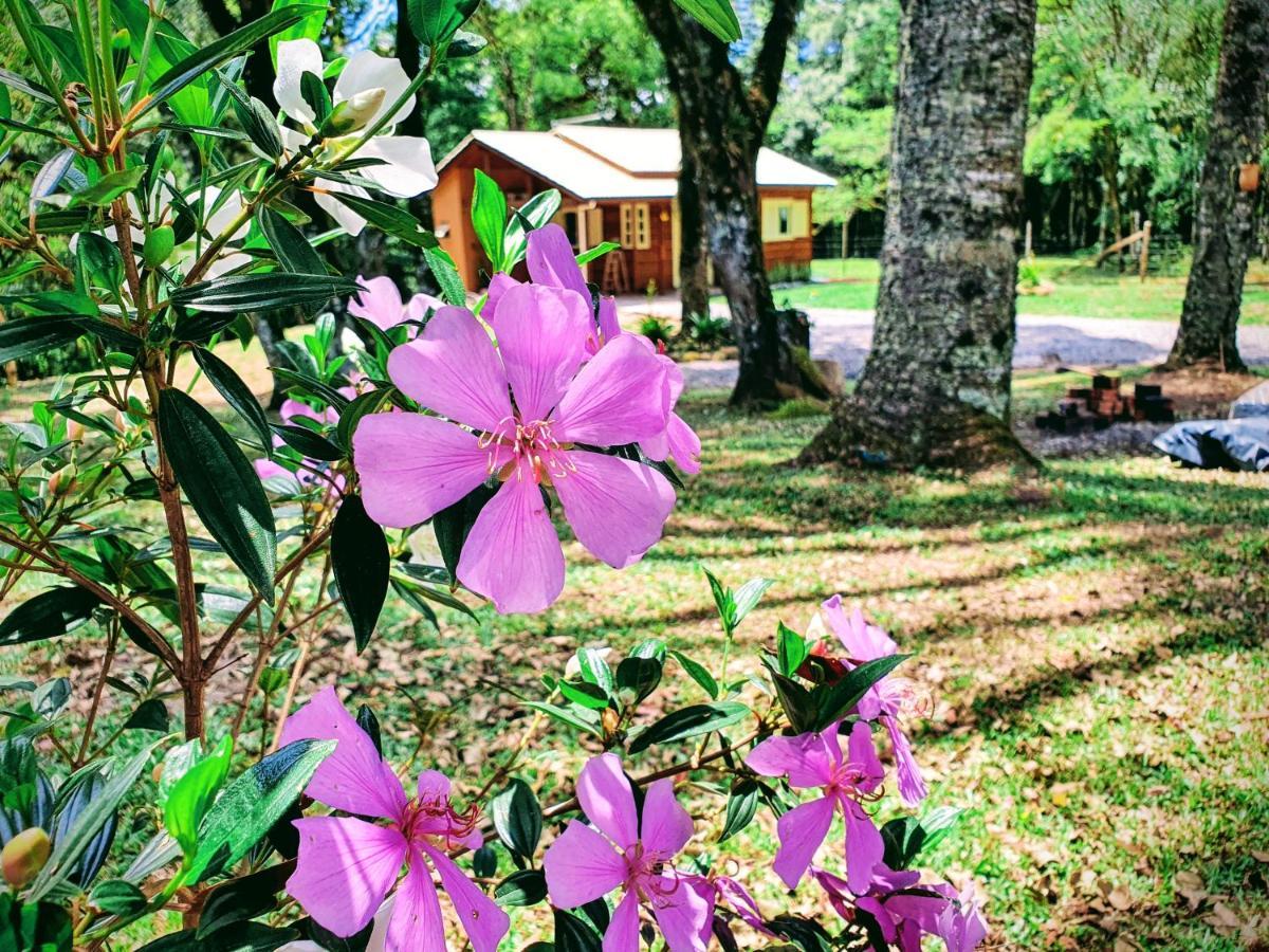 Sitio Recanto Feliz